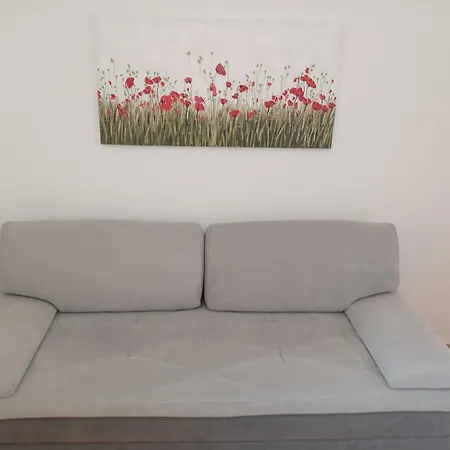 Mg Ravlic * מאקרסקה