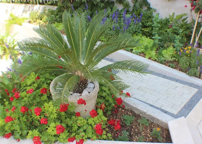 Mg Ravlic Макарська